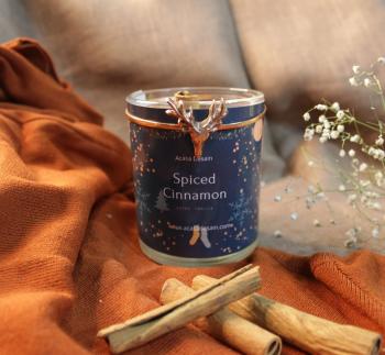 Reindeer Christmas Soy Candle (Cinnamon/clove/orange/vanilla)